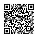 QR SILIPON WAERMFL 1L ANTHRAZIT