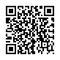 QR INSTRUMENTENBUERSTE