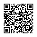 QR М&#39;ятний чайний набір Shuyao 3x4 добові дози