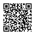 QR Чайний набір Shuyao Tea Culture Gut Feel 9 пакетиків 3 гр