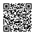 QR SCHILLER EKG REG PAPIER CV3