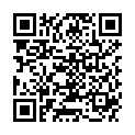 QR WEL FERRUM SESQUICHLORATUM D3