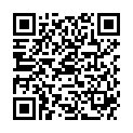 QR DIEM LESEBR GENEVA GRUEN 2.5