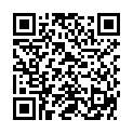 QR DIEM LESEBR GENEVA GRUEN 3.5