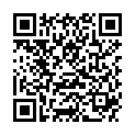 QR DIEM LESEBR PRAG SILBER 2.0