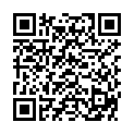 QR DIEM LESEBR PRAG SILBER 3.0