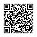 QR DIEM LESEBR ROM BROWN 2.5