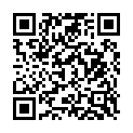 QR BOERLIND PURAVERA 09 CHESTNUT