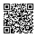 QR HERBA FOEHNBUERSTE ANTISTAT LA