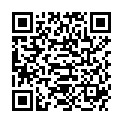 QR Вставка з флісу Seni V Maxi без бічного захисту від протікання, водонепроникна