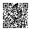 QR VITILITY HAARBUERSTE