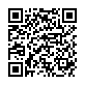 QR Pampers Premium Protection Gr4 9-14 кг Maxi Carry Pack 24 шт