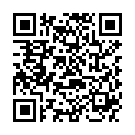 QR SUNDO LUFTKISSENPUMPE