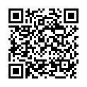 QR LAMPE BERGER PARF POUSSIERE AM