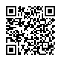 QR H SENNAE FOL CONC PHEUR