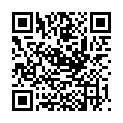 QR CHINAPFLASTER HOT JIAO FENG