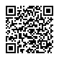 QR NICOLE DIEM LESEBR SISL BL 3.5