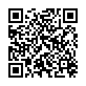 QR HOLUNDERSAFT MIT HONIG BIO PET