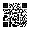 QR seni Прокладки від нетримання сечі Active 20 шт