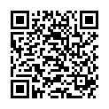 QR DIXA KIRSCHENSTEINE GANZ