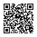 QR SWING STOCKKAPSEL SCHWARZ