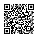 QR LOUIS XIII чистяча сталева шерсть 200 г