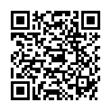 QR BOERLIND PURIF ABDECKSTIF HELL