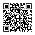 QR ЦІНИ Candela profumata Зимовий жасмин джельсоміно