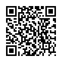 QR HIMBEERSIRUP BIO PET