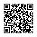 QR NIPPES ERSATZKLINGE HORNAUTHOB