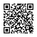 QR Haas Biochemie NoXIX sel arsenicosum cuivre таблетки D 6 20 г