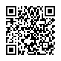 QR DIM VOILIS STRUMPFH T3 TP AMBR