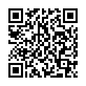 QR Лак для нігтів Misslyn No.370