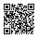 QR DIXA BIRKENBLAETTER PHEUR BIO