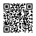 QR MORGA TEE DARJEELING