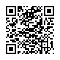 QR VANADIS SPAGHETTI DINKEL