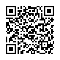 QR HERBA HAARBINDER 5.5CM SCHWARZ