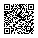 QR MORGA TEE DAUERFIL FUER OFFENT