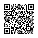 QR BORT STABILO COL BDE 6CMX5 SCH