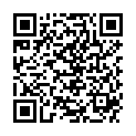 QR Батарейки Panasonic Pro Power AAA LR03 4 шт
