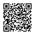 QR HERBA GESI REINIG BUERSTE 2IN1