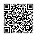 QR HERBA HAARBINDER 3.8CM SCHWARZ