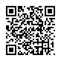 QR PERISTEEN ANAL TAMPON GROSS