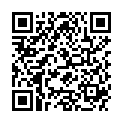 QR LAMPE BERGER PARFUM TEST MENTH