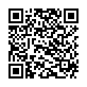 QR HELD ECO GLANZTROCKNER