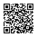 QR SIDROGA TEE ORANGENBLUETEN