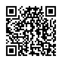 QR LoFric Tiemann 40см CH16 120 шт