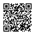 QR LoFric Nelaton 30см CH10 Paed 120 шт