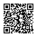 QR Lomatuell Pro 10х40см 10 шт