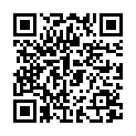 QR Полотно бар&#39;єрне перфороване 50х60см О клей 75 шт